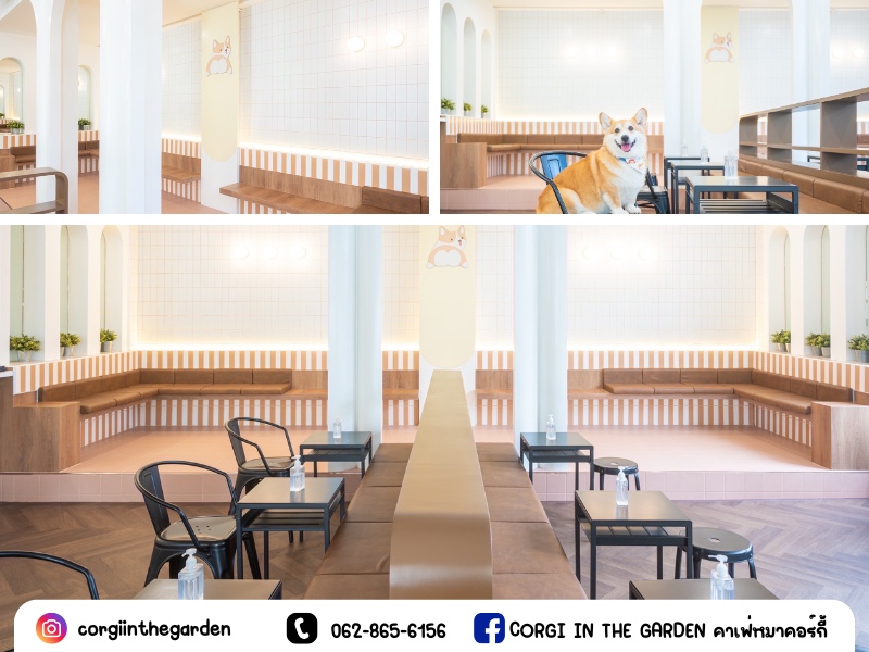 ร้านคาเฟ่คอร์กี้เจริญนคร