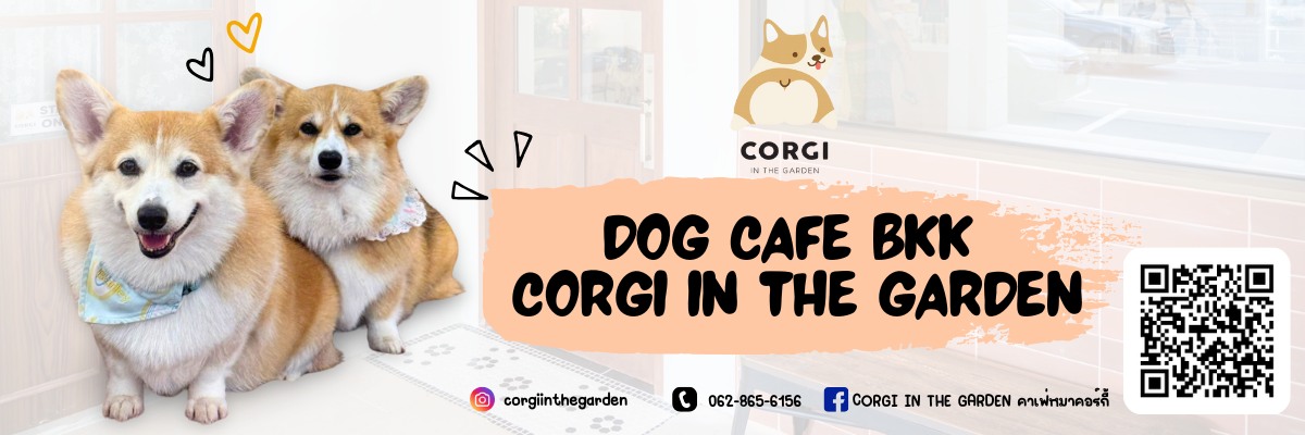 Dog Cafe กรุงเทพ (2)